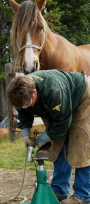 rls_web2014001007.jpg