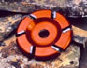 rls_web2014002005.jpg