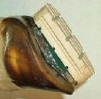 rls_web2014002007.jpg